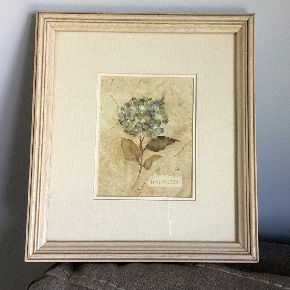 Blue hydrangea framed print